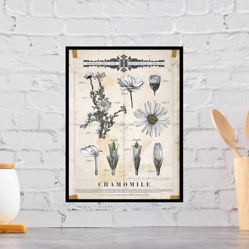 Hendrick's Gin Kamille Retro Metall Aluminium Schild, Neuheit Geschenk Home Décor Bar