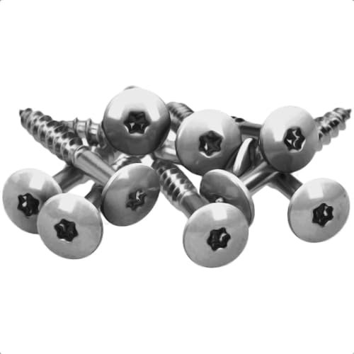 100x MEISTERLING® Fassadenschrauben INOX V4A 5,5 x 25 mm – Flachkopf Torx T20 + 1 Bit – Unlackiert