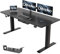 Devoko Höhenverstellbarer Schreibtisch 140 x 60 cm mit Kabelwanne, Elektrisch Höhenverstellbarer Stabiler Stehpult, Computertisch 2-Funktions-Memory, Ergonomischer Steh-Sitz Tisch (Schwarz)