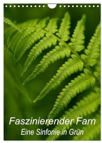 Faszinierender Farn - Eine Sinfonie in Grün (Wandkalender 2026 DIN A4 hoch), CALVENDO Monatskalender: Details von Farnpflanzen kunstvoll in Szene gesetzt (CALVENDO Natur)