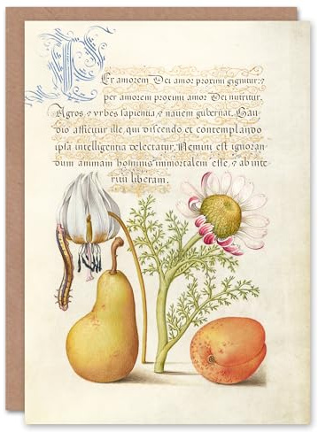 Artery8 Model Book of Calligraphy Art Card Caterpillar Flowers and Fruit