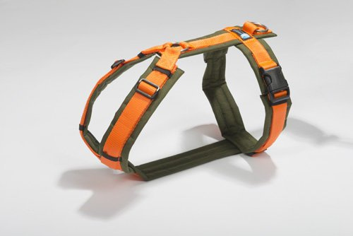 anny-x Brustgeschirr Fun Oliv orange - Gr. XL