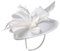 SOIMISS Kopfschmuck Hochzeit Fascinator Hütte Stirnband Mesh Haarband Pillbox Hütte Hairhoop T- Party Headwear Kopfschmuck für Gatsby Haar Zubehör Weiß Haarreif Blumen