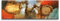 Visario Bild & Kunstdruck der deutschen Marke 120 x 40 cm ArtNr 5726 Bilder auf Leinwand Kunstdrucke abstrakt Wandbild einteilig
