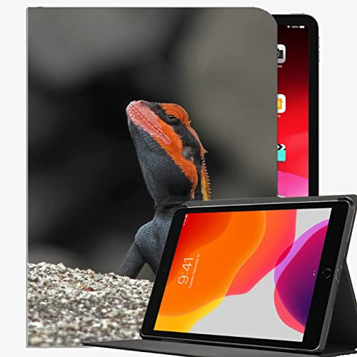 Caso FIT Nuevo iPad 8th Generation 10.2 2020 / iPad 7th Gen 2019,Blanfords Rock Agama Lizard Case Slim Shell Funda para iPad 10.2 Pulgadas