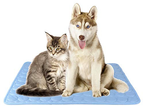 SAFLYSE Haustier-Matte Kühlkissen für Katzen und Hunde Nicht Giftig/Blau (L)