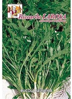 La Rosa semi orto di Rucola Selvatica (1 confezione)
