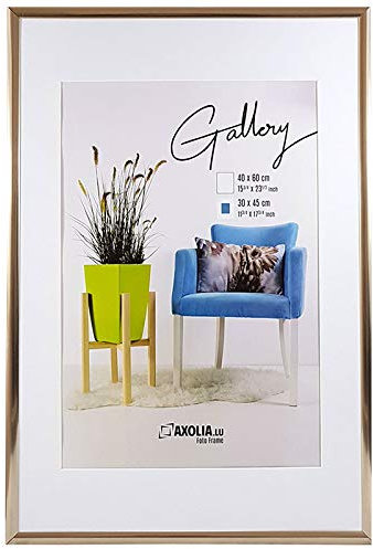 Axolia Cadre Photo 40x60 cm en plastique avec verre minéral - Décoration murale - Gallery - Champagne
