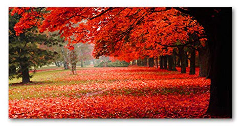 Tulup Impression sur Verre de 120x60 cm Image Tableau Photo décorative panoramique pour la Cuisine et Le Salon - Fleurs et Plantes - Arbres en Automne - Rouge