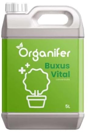 Buxus Vital 5L - Konzentrat Für 500 Meter Hecke - Buchsbaumraupen-Pestizid - Buchsbaumzünsler-Pestizid - Buchsbaumschimmel - Von Natur Aus Widerstandsfähig - Organifer