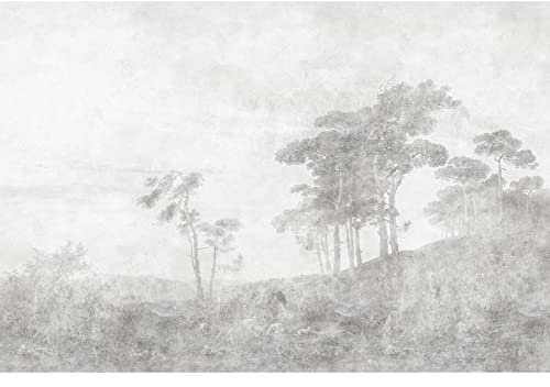 BRICOFLOR | Grau Fototapete | Antik Tapete mit Landschaft gemalt | Tapete Tropical Green Forest | Tapete Grüne Pflanzen Forest Ideal für das Schlafzimmer | 200 g/m² Premium-Vlies | 270 x 400 cm