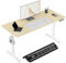 WOLTU Höhenverstellbarer Schreibtisch Elektrisch, Computertisch mit USB-Ladeanschluss und Memory-Funktion, Ideal als Ergonomischer Stehschreibtisch für Homeoffice und Büro, 140x60 cm, Weiß + Eiche