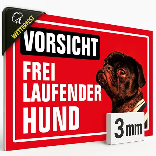 Schild „VORSICHT FREI LAUFENDER HUND“ – 20x30 cm – Wetterfestes Hundeschild aus 3mm starker Hartschaum Platte – UV-beständig & farbecht – Deutsche Qualität, Warnschild #190