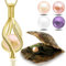Wunschperlen Perlenkette Damen Schmuck Set - Drop Kette Gold und Muschel mit Perle - 18k Vergoldet 925 Silberkette Damen mit Anhänger und Echte Perle in Muschel - Schmuckset Gold Geschenk für Sie