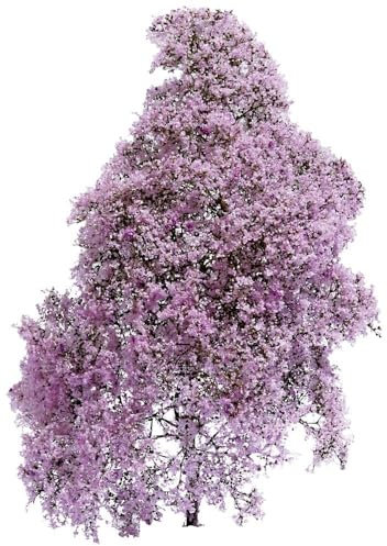 Busch 3587 Busch Frühling Lila, Blühend