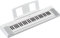 Yamaha NP-15 Piaggero Digital Keyboard - Tastiera Digitale Versatile e Portatile con 61 Tasti Sensibili al Tocco, 15 Voci Strumentali, Leggera e Portatile
