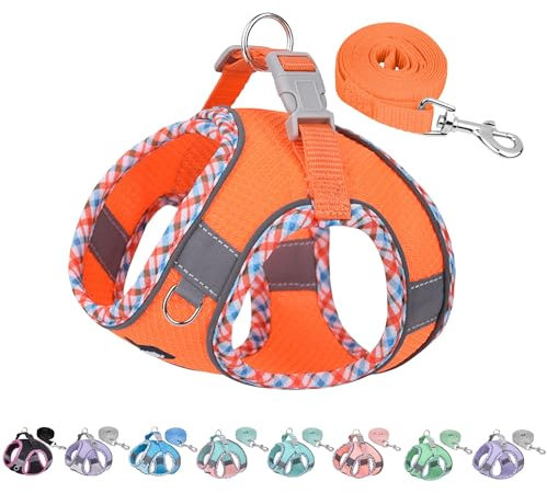 AIITLE No Pull Hundegeschirr und Leine Set, Schritt in einstellbaren Hundegeschirr mit gepolsterter Weste für alle Wetter, reflektierende Haustiergeschirr, einfach auf kleine Hunde setzen Orange S