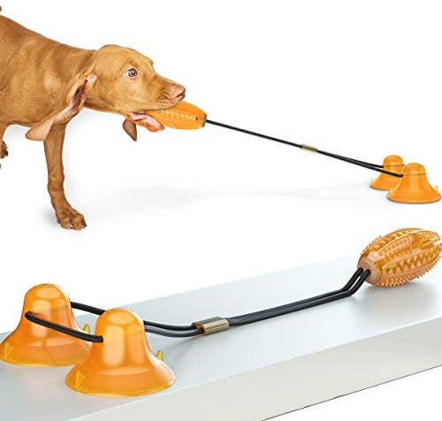 Angzhili Jouet à mordre molaire pour animal de compagnie, jouet à ventouse pour chien, corde solide et double ventouse, aide à nettoyer les dents/pour traîner et mâcher/manger