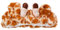 MaNMaNing Cartoon-Giraffe-Haarband-Waschgesicht-niedliches Cartoon-Haarband-Tier-wasserdichtes Handgelenk-Band MM320