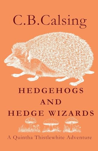 Hedgehogs and Hedge Wizards (A Quintha Thistlewhite Adventure, Band 1)