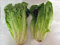 Lattuga romana Seed, Paris Island, Heirloom, biologica, non OGM, 500 semi,