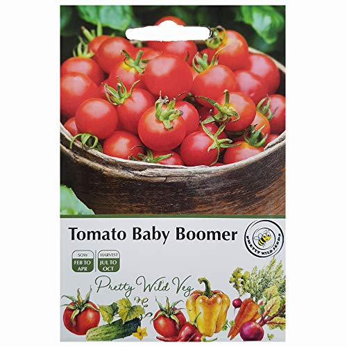 Tomato Seeds Shirley Mountain Magic Alicante Brandywine Micro Tom Golden Sunrise Patio Plum Moneymaker Roma (Baby Boomer F1)