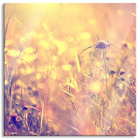 Pixxprint Glasbild, Wandbild auf Echtglas, Bunte Gräser Pflanzen Natur, 60x60 cm, inkl. Aufhängung und Abstandshalter