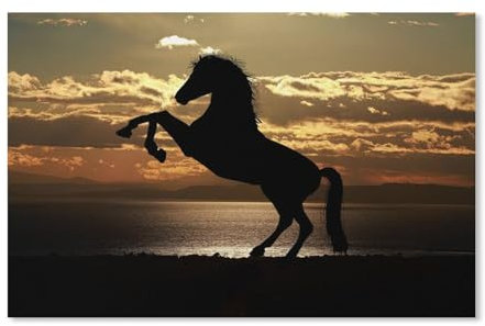 Puzzle 1000 Teile Erwachsene Puzzle Papier puzzle Klassisches 3D Puzzle,Pferd Silhouette Sonnenuntergang Meer,DIY Collectibles Moderne Wohnkultur(38x26cm)-C65