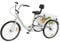 ARBGO 24 Zoll Dreirad for Erwachsene, Green Travel, 6-Gang, Dreirad-Fahrrad, 3-Rad-Cruiser-Fahrrad, mit Lordosenstütze, großem Korb, Grüne Reise-Sightseeing-Tour-Werkzeuge