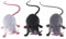 HoveeLuty Rats RéAlistes en Plastique Fausse Souris Jouets De Faux Rats Rats Compressibles en Plastique Rats d'halloween RéAlistes Astuces d'halloween Farces Accessoires Jouet 3 PièCes