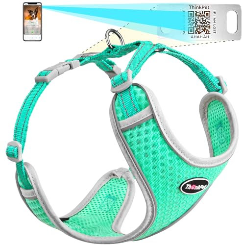 ThinkPet Hundemarke, reflektierend, atmungsaktiv, weiches Air-Mesh mit QR-Code, Erstickungsfrei, für Welpen, kleine, mittelgroße Hunde und Katzen, Größe XXS, Blaugrün