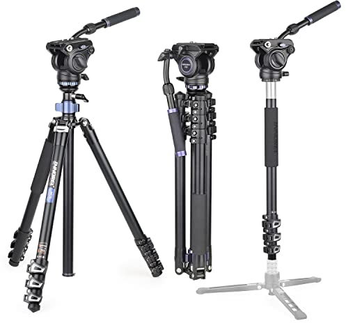INNOREL MT70 Professionelles Videokamera-Stativ 183 cm, mit Fluid-Drag-Kopf, 4-teiliges kompaktes Aluminiumstativ, umwandelbar in Einbeinstativ für DSLR-Kamera, Video-Camcorder