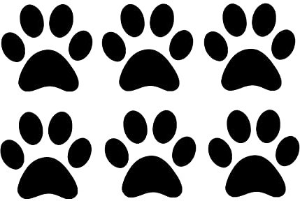 Pack of 6 Cat Dog Animal Paw Cute Stickers - Waterproof Decals - Laptops, Water Bottles, Cars, Phones, Scrapbooking (Black, 8cm x 8cm)