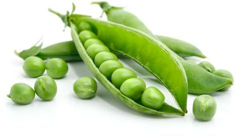 Semi PISELLINI PISELLI PRIMAVERA NANO SPRING In Busta Ermetica MADE IN ITALY Qualità superiore con 95% di germogliazione con istruzioni