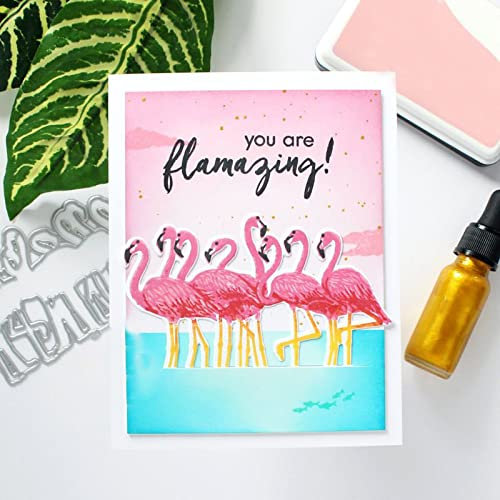Flamingo-Stanzformen und Stempel-Sets für Kartenherstellung Libelle Metall Stanzformen Koordinate Transparent Silikondichtung Stempel für Papier Basteln Handarbeit Scrapbooking Supplies Album Dekor