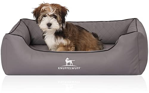 Knuffelwuff Orthopädisches Hundebett Madison aus Laser-gestepptem Kunstleder S 70 x 50cm Grau - Abnehmbarer Bezug - leicht zu reinigen - für große, mittelgroße und kleine Hunde