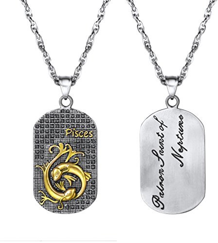 PROSTEEL Anhänger Halskette, Sternbilder Sternzeichen Fische Dog Tag Erkennungsmarke Anhänger mit Kette, Edelstahl Horoskop Astrologie Halsschmuck