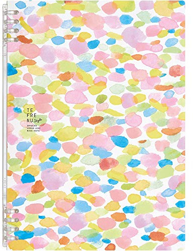 King Jim 9855TES-L103 Ringnotizbuch Tefline Style B5 Palette