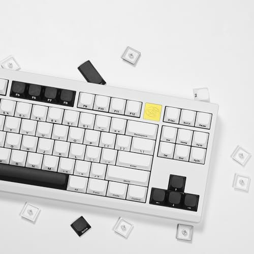 Arctic: Low-Profile Custom Keyboard Keycaps, 75% Full Keycaps für 60% 65% 75% 80% 100% Cherry Gateron MX Switches, Flake White