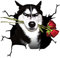 URFEDA 3D Hund Aufkleber - Sibirischer Husky Auto Sticker Frontscheibenaufkleber, 2 Paar PVC Wasserdichter Autoaufkleber, Lustige Persönlichkeit Car Aufkleber Sticker Dekor, 3D Auto Styling Aufkleber