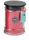 Bridgewater Candle Company Melon Pop Duftkerze 250 g
