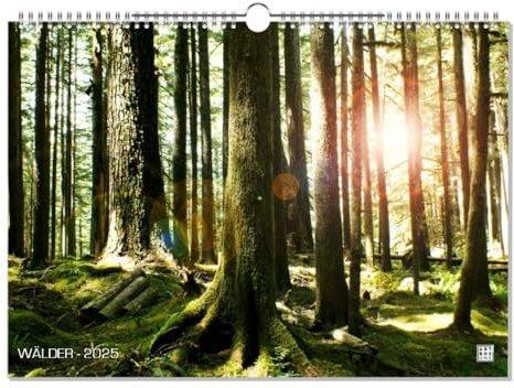 artboxONE Kalender 2026 WÄLDER Wandkalender A2 2026 Natur