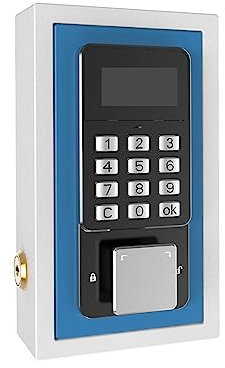 Mini Tresor, Safe zur Wandmontage, Schlüsselaufbewahrungsbox, App-Fernbedienung, Organizer, Passwort, Sicherheitscode-Schloss, kein Schlüssel, Heimtresor, Schließfach für Bargeld Wichtiger Dokumente(B