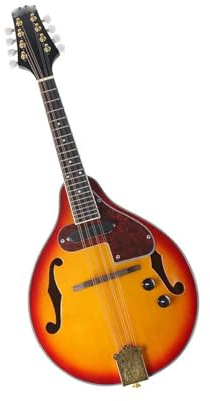 Eight String Electric Mandolin Model A Rosewood Fingerboard Accessories Included Professional Mandolin Instrument