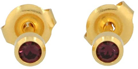 Erstohrstecker hartvergoldet Sterile Ohrstecker Zarge mit Stein in lila