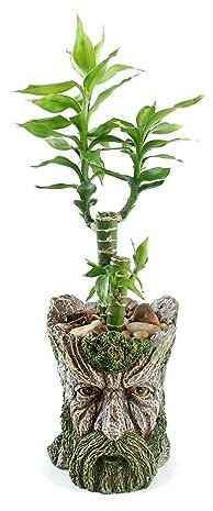 Youfui Funny Planter Head Planter with Drainage Hole Resin Plant Pot Pencil Holder Desk Storage(Mustache Man)