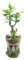 Youfui Funny Planter Head Planter with Drainage Hole Resin Plant Pot Pencil Holder Desk Storage(Mustache Man)