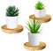 Tuzsocr Holz Wandregal rund Wohnzimmer Deko modern Eiche Pflanzen Wandhalterung Schweberegal klein 3er Set Regal für die Wand für einen Blumentopf oder eine Vase schöne Wanddeko