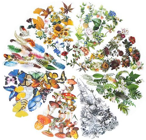 480PCS Plants Scrapbooking Stickers, 8 Series Nature Theme, Waterproof Transparent Flowers Mushroom Butterfly Feather Stickers for Scrapbook Journaling DIY Crafts Planners Art