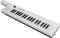 37 Key Electronic Keyboard Electronic Keyboard, Electronic Piano Piano Portable Guitar Organ Mini Keytar Musical Instrument BF-3755 white